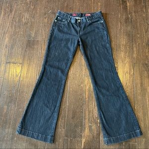 Express Size 8 Long Eva Fit & Flare Denim